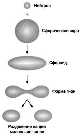 Иллюстрация к книге — Лиза Мейтнер. Расщепление ядра [img_2.jpg]