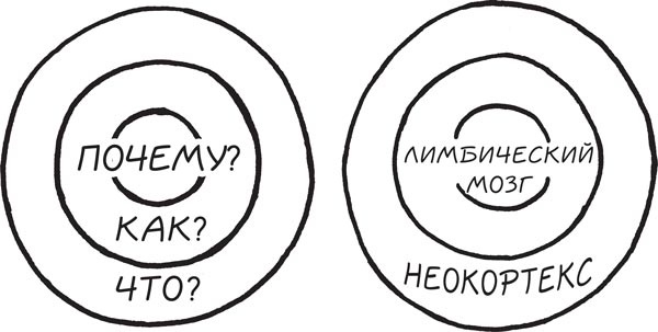 Иллюстрация к книге — Найди свое «Почему?». Практическое руководство по поиску цели [i_004.jpg]