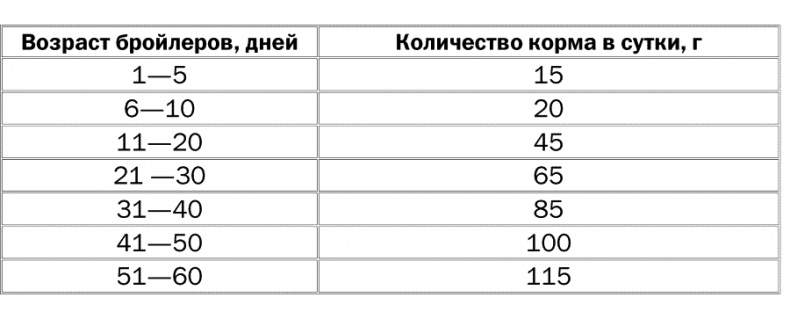 Иллюстрация к книге — Разведение и выращивание кур обычных пород и бройлеров [i_013.jpg]