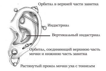 Иллюстрация к книге — Энциклопедия Пирсинга. Настольная книга мастера и клиента [earadvanced.jpg]