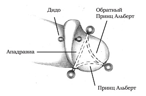 Иллюстрация к книге — Энциклопедия Пирсинга. Настольная книга мастера и клиента [reverspa.jpg]