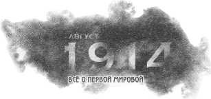 Иллюстрация к книге — Выстрелы в Сараево. Кто начал Большую войну? [i_001.jpg]