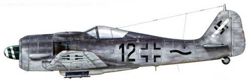 Иллюстрация к книге — Фокке-Вульф Fw 190, 1936-1945 [pic_119.jpg]