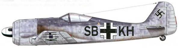 Иллюстрация к книге — Фокке-Вульф Fw 190, 1936-1945 [pic_13.jpg]