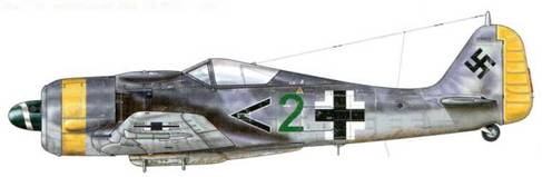 Иллюстрация к книге — Фокке-Вульф Fw 190, 1936-1945 [pic_163.jpg]