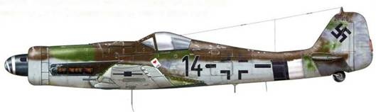 Иллюстрация к книге — Фокке-Вульф Fw 190, 1936-1945 [pic_194.jpg]