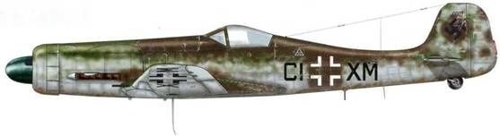 Иллюстрация к книге — Фокке-Вульф Fw 190, 1936-1945 [pic_220.jpg]