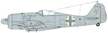 Иллюстрация к книге — Фокке-Вульф Fw 190, 1936-1945 [pic_239.jpg]