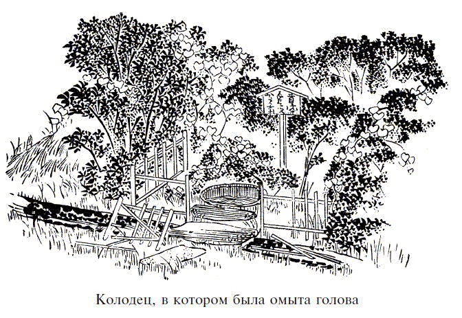 Иллюстрация к книге — Легенды о самураях. Традиции Старой Японии [picture1.jpg]
