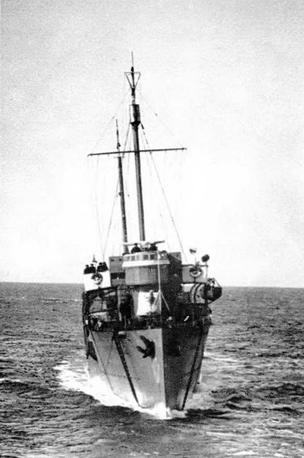 Иллюстрация к книге — Эскадренные миноносцы типа &quot;Новик&quot; в ВМФ СССР [pic_189.jpg]
