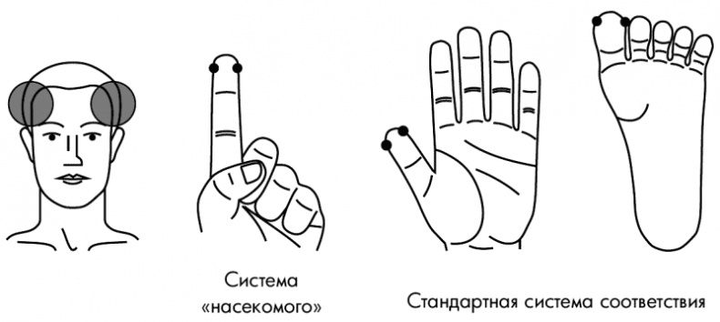 Су-Джок лечит. Мигрень, кашель, боль в спине, тяжесть в желудке