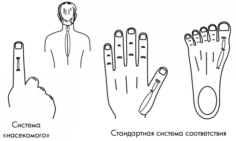 Су-Джок лечит. Мигрень, кашель, боль в спине, тяжесть в желудке