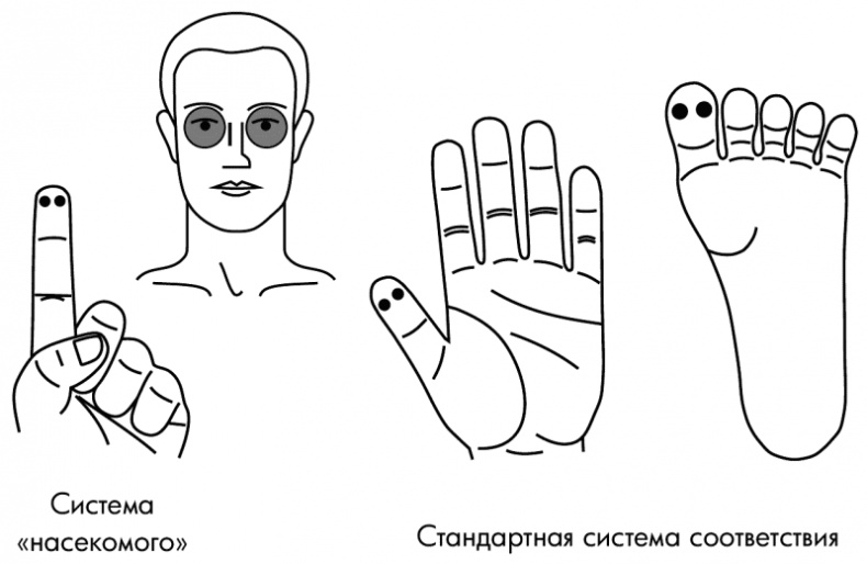 Су-Джок лечит. Мигрень, кашель, боль в спине, тяжесть в желудке