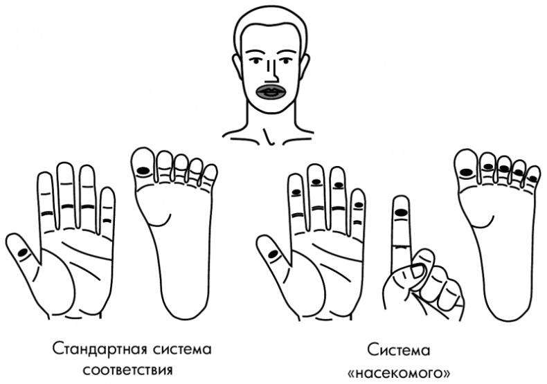 Су-Джок лечит. Мигрень, кашель, боль в спине, тяжесть в желудке