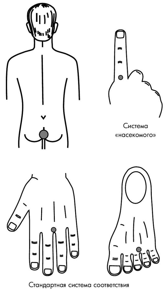 Су-Джок лечит. Мигрень, кашель, боль в спине, тяжесть в желудке