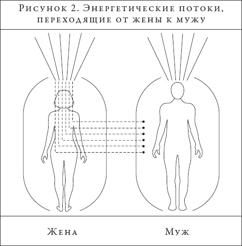 Иллюстрация к книге — Анатомия духа. Семь ступеней к силе и исцелению [i_002.jpg]