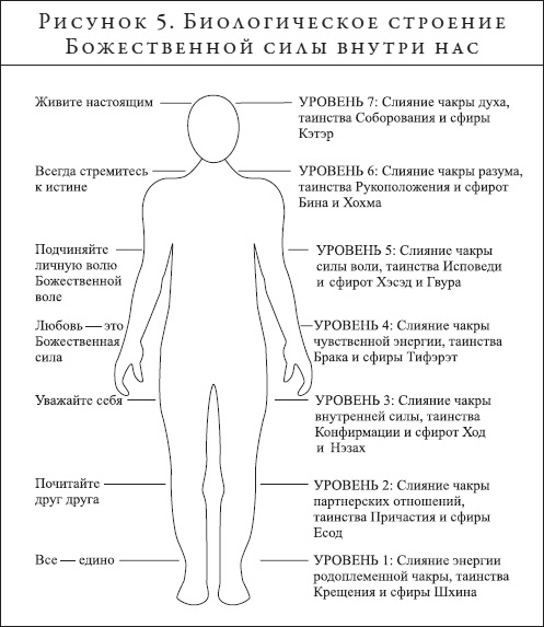 Иллюстрация к книге — Анатомия духа. Семь ступеней к силе и исцелению [i_005.jpg]