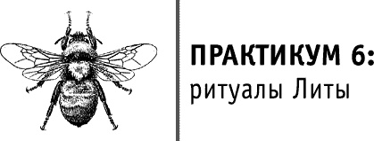 Иллюстрация к книге — Круг Года. Викканские праздники, их атрибуты и значение [_461.jpg]