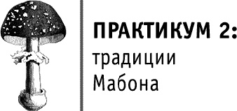 Иллюстрация к книге — Круг Года. Викканские праздники, их атрибуты и значение [_557.jpg]