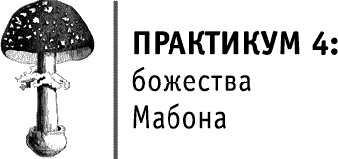 Иллюстрация к книге — Круг Года. Викканские праздники, их атрибуты и значение [_587.jpg]