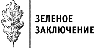 Иллюстрация к книге — Круг Года. Викканские праздники, их атрибуты и значение [_719.jpg]