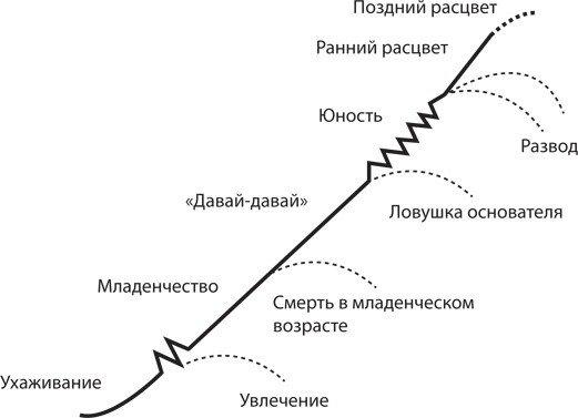 Иллюстрация к книге — Управление жизненным циклом корпораций [i_023.jpg]