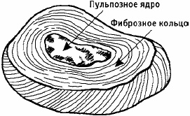 Иллюстрация к книге — Заболевания позвоночника. Карманный справочник [_04.jpg]