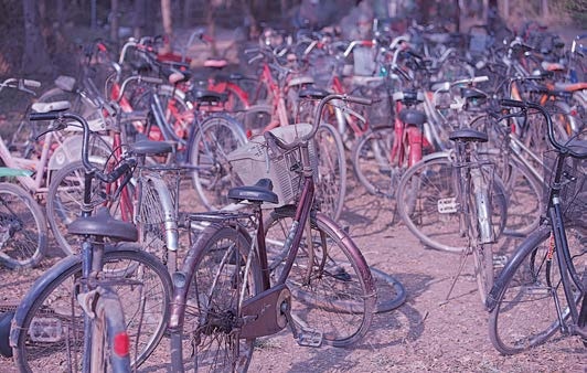 Иллюстрация к книге — Живая цифра. Книга о цвете, или Как заставить дышать цифровую фотографию [i_217.jpg]