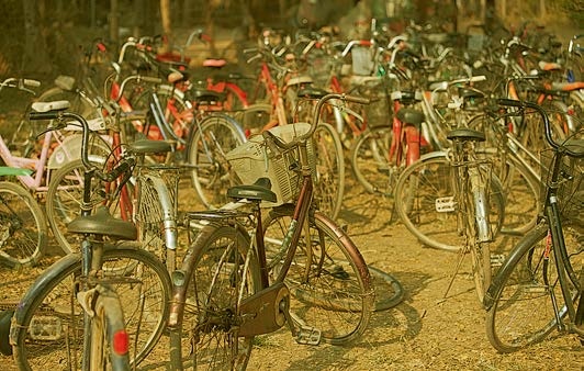 Иллюстрация к книге — Живая цифра. Книга о цвете, или Как заставить дышать цифровую фотографию [i_220.jpg]