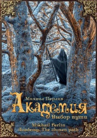 Книга Академия. Выбор пути