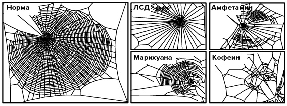 Иллюстрация к книге — Зачем мы спим. Новая наука о сне и сновидениях [img_3.jpg]