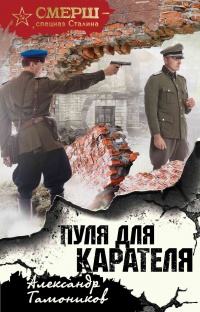 Книга Пуля для карателя Книга Пуля для карателя