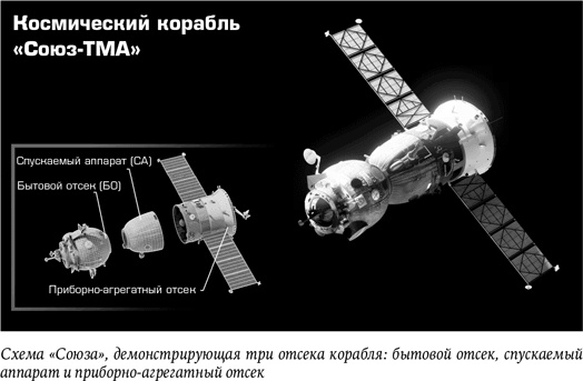 Иллюстрация к книге — Стойкость. Мой год в космосе [i_003.jpg]