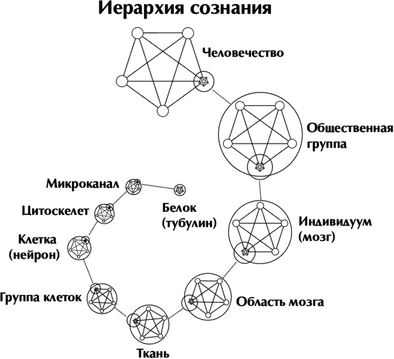 Иллюстрация к книге — Кроличья нора, или Что мы знаем о себе и Вселенной [i_003.jpg]