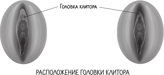 Project Woman. Тонкости настройки женского организма. Узнай, как работает твое тело