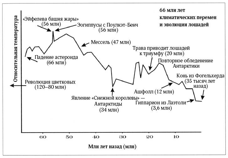Иллюстрация к книге — Лошадь. Биография нашего благородного спутника [i_015.jpg]