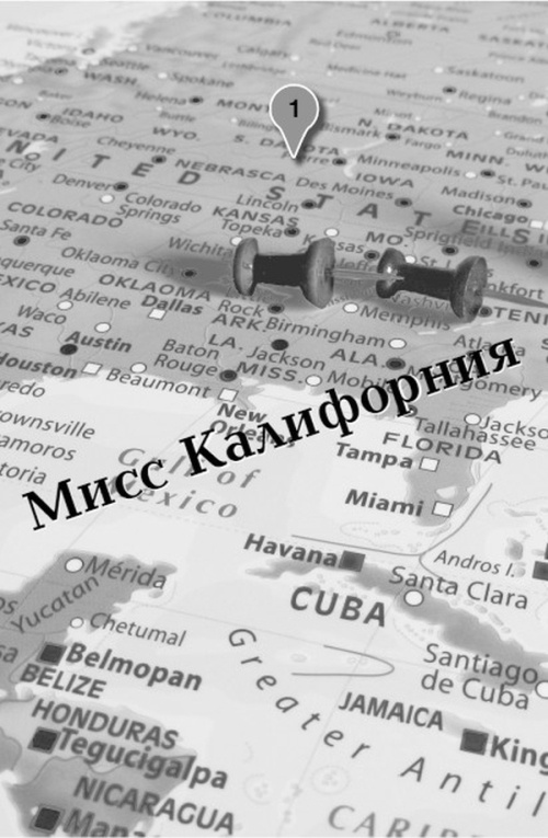 Иллюстрация к книге — Большое путешествие Эми и Роджера [i_002.jpg]