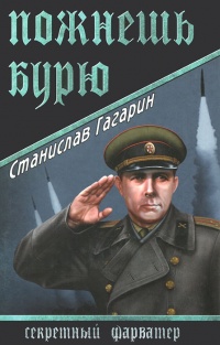 Книга Пожнешь бурю Книга Пожнешь бурю