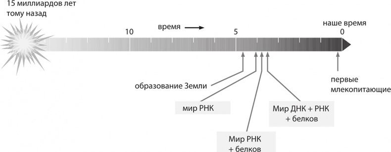Иллюстрация к книге — ДНК. История генетической революции [i_043.jpg]