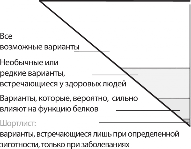 Иллюстрация к книге — ДНК. История генетической революции [i_101.jpg]