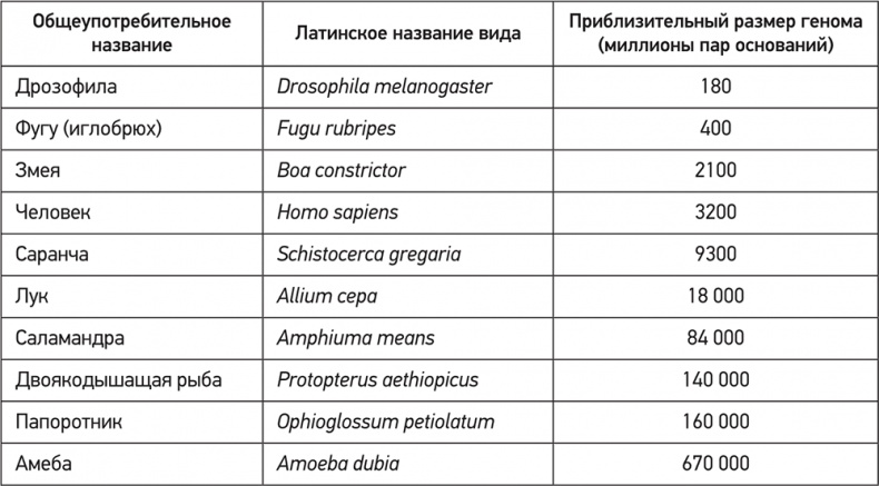 Иллюстрация к книге — ДНК. История генетической революции [i_116.jpg]