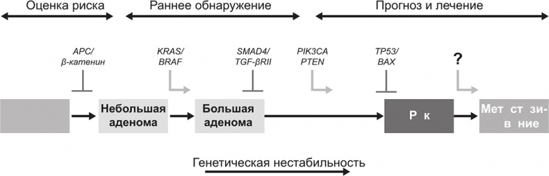 Иллюстрация к книге — ДНК. История генетической революции [i_172.jpg]