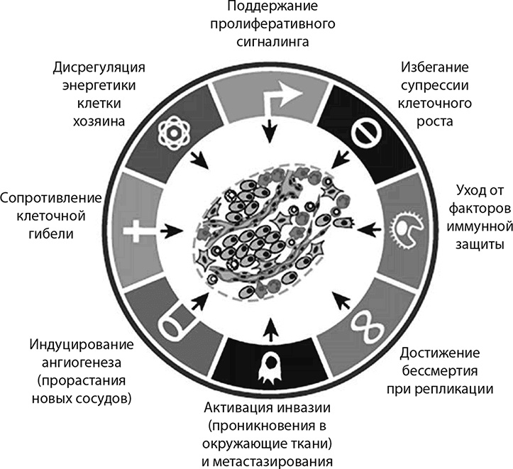 Иллюстрация к книге — ДНК. История генетической революции [i_175.jpg]