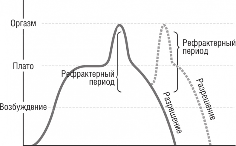 Иллюстрация к книге — ОН. Интимный разговор про тот самый орган [i_005.jpg]