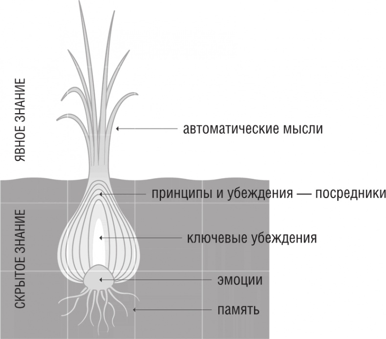 Иллюстрация к книге — ОН. Интимный разговор про тот самый орган [i_019.jpg]