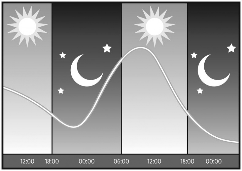 Иллюстрация к книге — Здоровый сон. 21 шаг на пути к хорошему самочувствию [i_002.jpg]