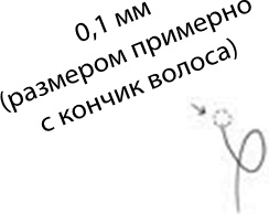 Иллюстрация к книге — 280 дней до вашего рождения. Репортаж о том, что вы забыли, находясь в эпицентре событий [i_009.jpg]