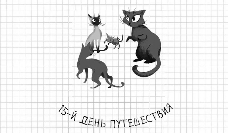 Иллюстрация к книге — Дневник дебильного кота. Великое путешествие Эдгара [i_089.jpg]