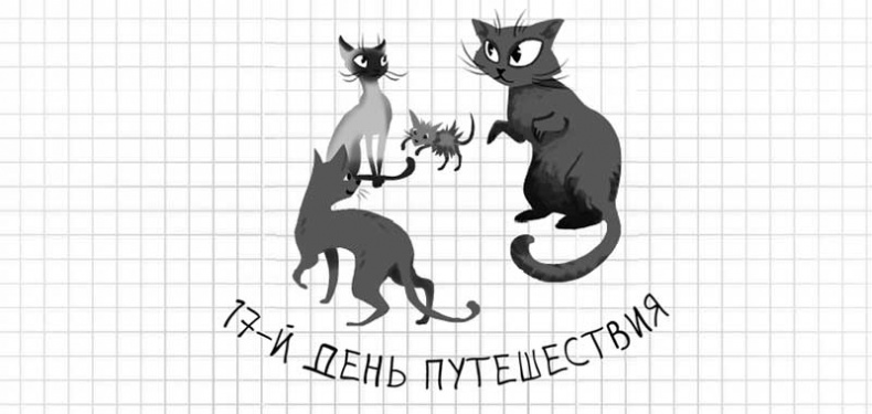 Иллюстрация к книге — Дневник дебильного кота. Великое путешествие Эдгара [i_095.jpg]