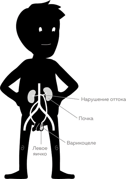 Мужское здоровье. Как у вас с ним? Мужское здоровье. Как у вас с ним?